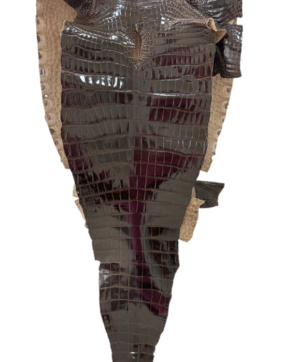 45 cm Grade 2/3 Sport Rust Brown Glazed Farm-Raised American Alligator Leather - Tag: LA12-0136202