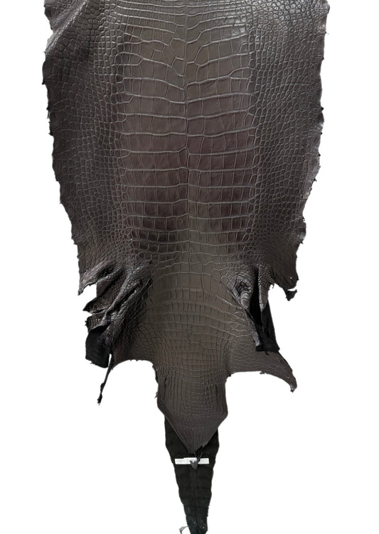 58 cm Grade 3/4 Black Matte Wild American Alligator Leather - Tag: LA23-0027743