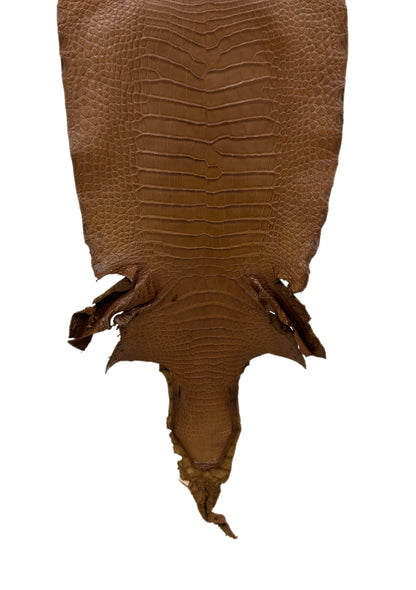 36 cm Grade 2/3 Kango Tabac Matte Wild American Alligator Leather - Tag: LA23-0007187