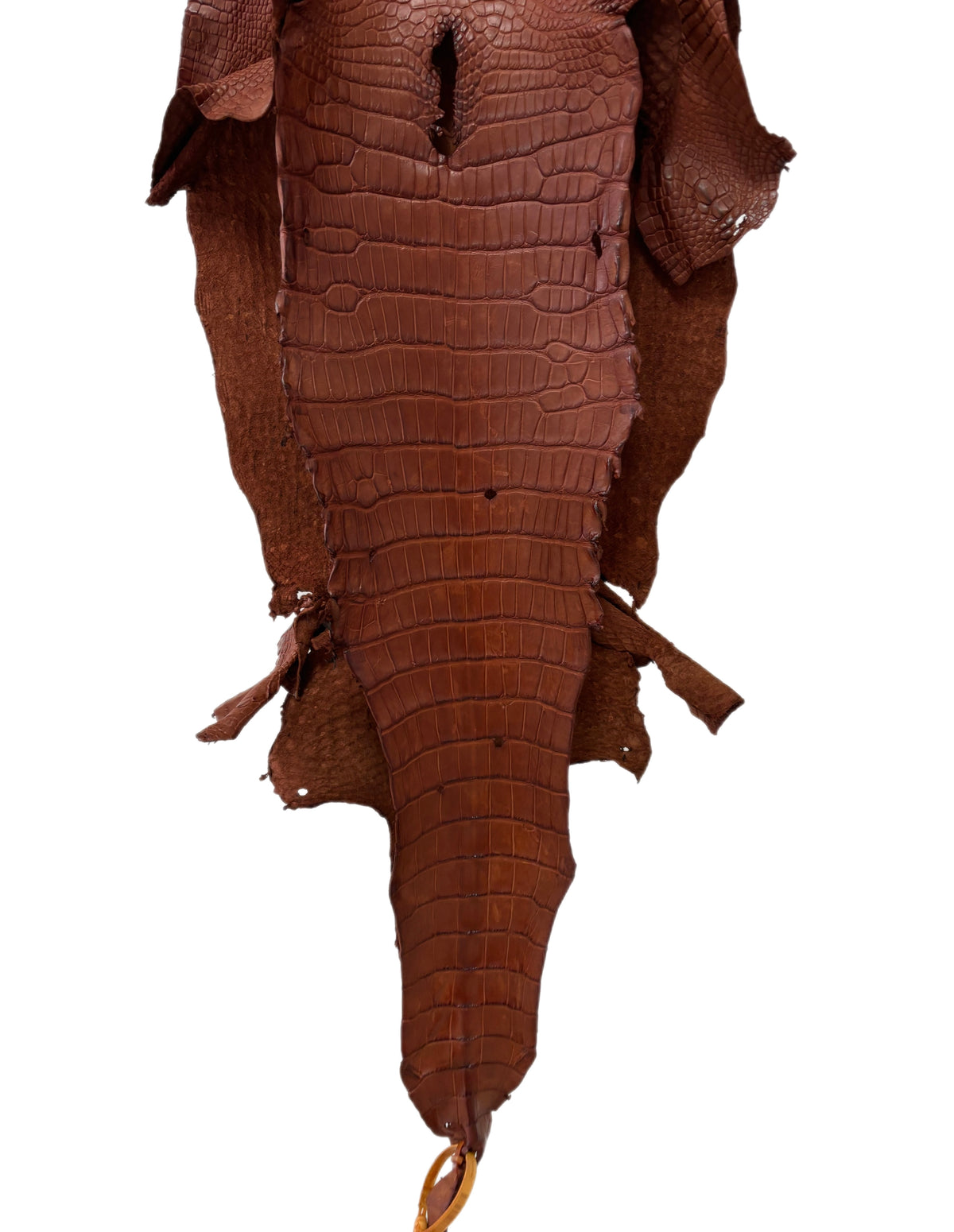 36 cm Grade 2/3 Rustic Cognac Matte Wild American Alligator Leather - Tag: LA23-0005153
