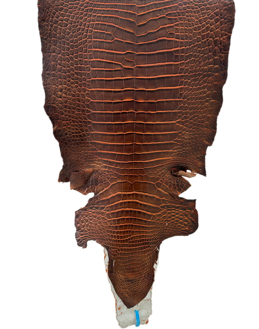 39 cm Grade 1/2 Sienna Matte Wild American Alligator Leather - Tag: ESRE-0050841