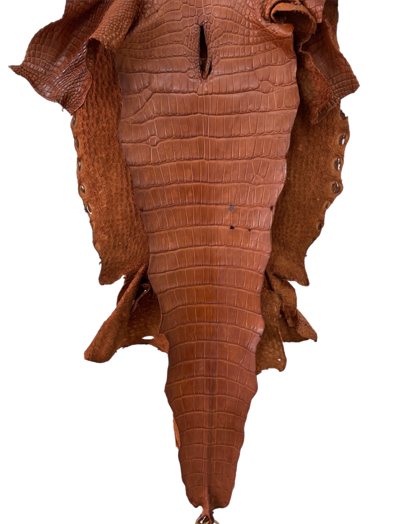 39 cm Grade 4/5 Cognac Matte Wild American Alligator Leather - Tag: LA23-0023833