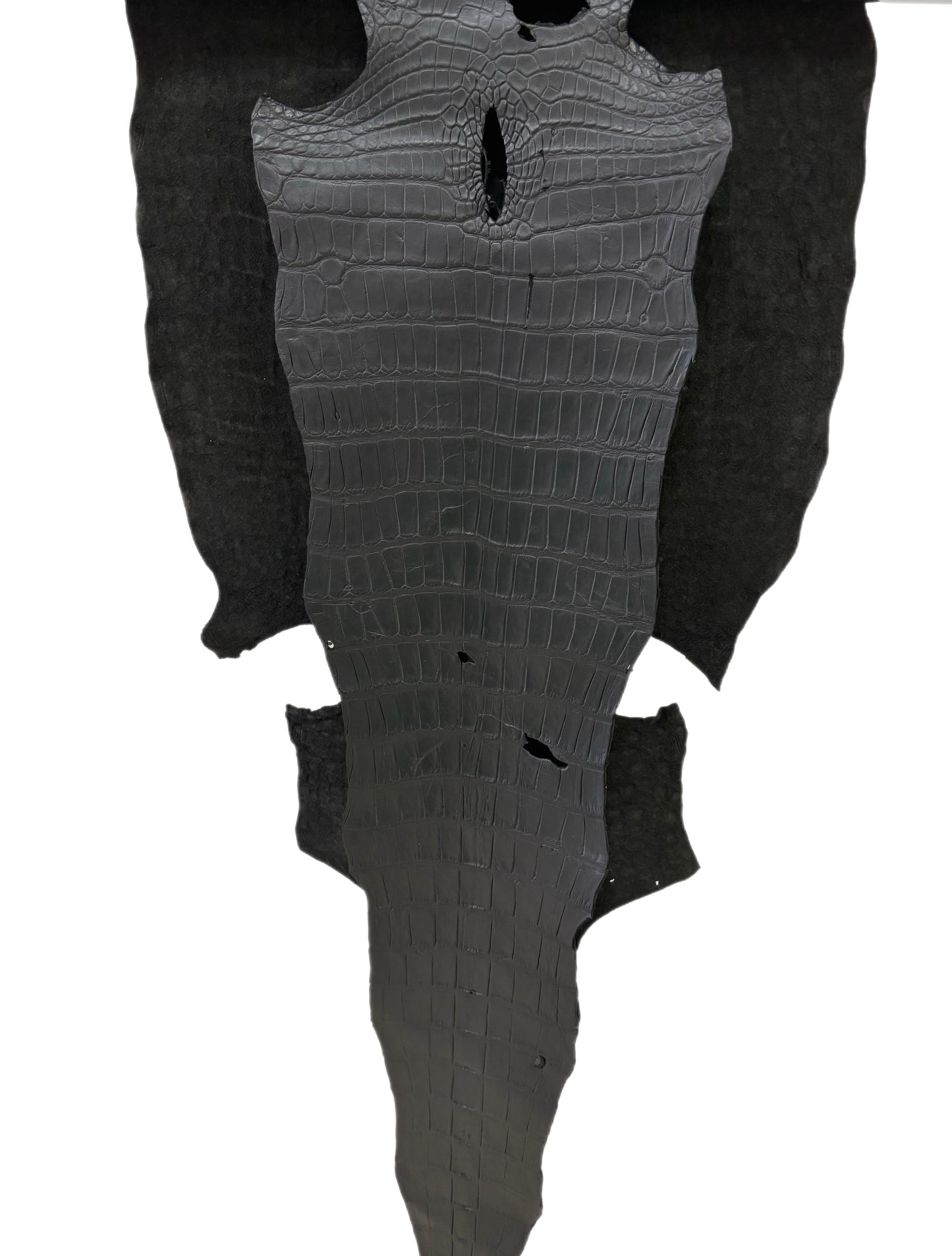 46 cm Grade 3/4 Black Matte Wild American Alligator Leather - Tag: LA22-0004512