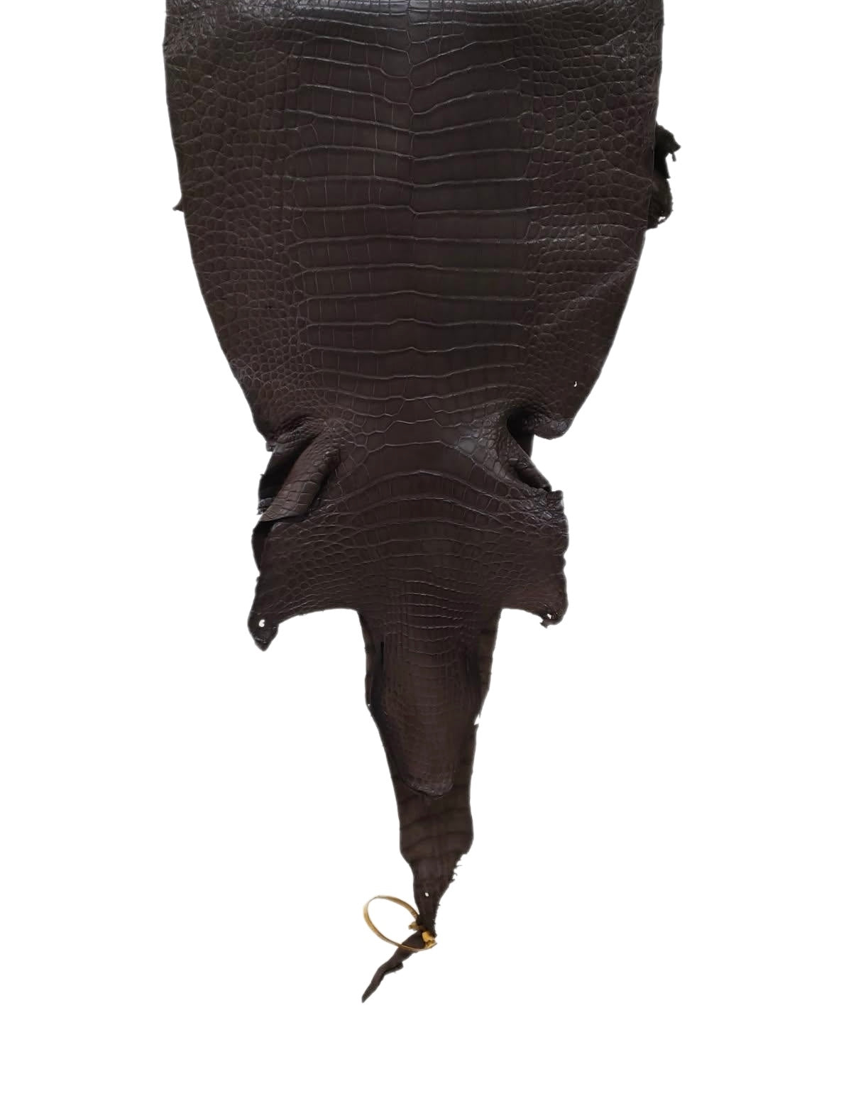36 cm Grade 2/3 Kralle Brown Matte Wild American Alligator Leather - Tag: LA23-0050042