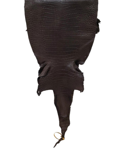 36 cm Grade 2/3 Kralle Brown Matte Wild American Alligator Leather - Tag: LA23-0050042