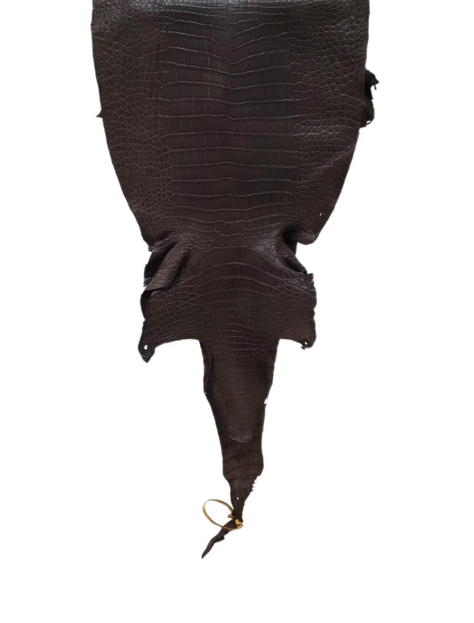36 cm Grade 2/3 Kralle Brown Matte Wild American Alligator Leather - Tag: LA23-0050042