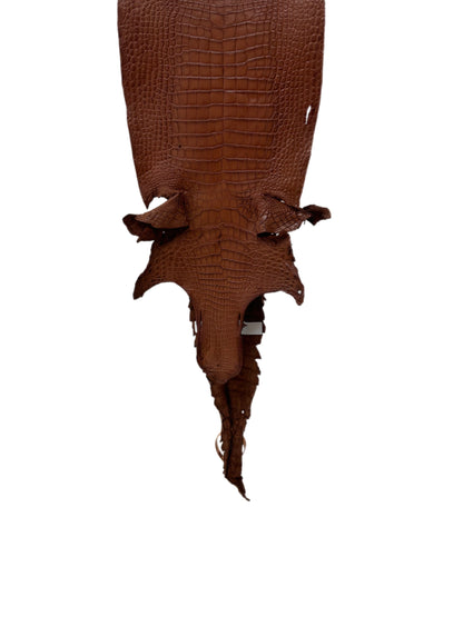 24 cm Grade 2/3 Rustic Cognac Matte Wild American Alligator Leather - Tag: FL10-0029138