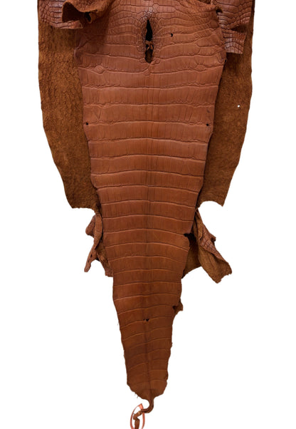 46 cm Grade 3/4 Cognac Matte Wild American Alligator Leather - Tag: LA24-0020881