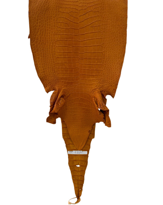 38 cm Grade 3/4 Buttercup Matte Wild American Alligator Leather - Tag: LA23-0003357