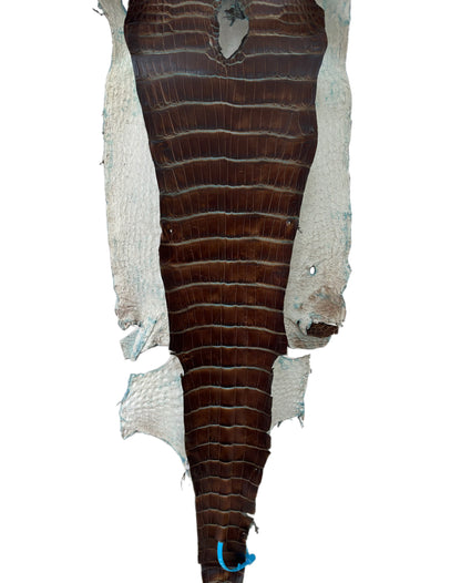 31 cm Grade 2/3 Pacifica Matte Wild American Alligator Leather - Tag: ESRE-0050943