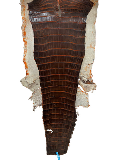 32 cm Grade 1/2 Sienna Matte Wild American Alligator Leather - Tag: ESRE-0033709