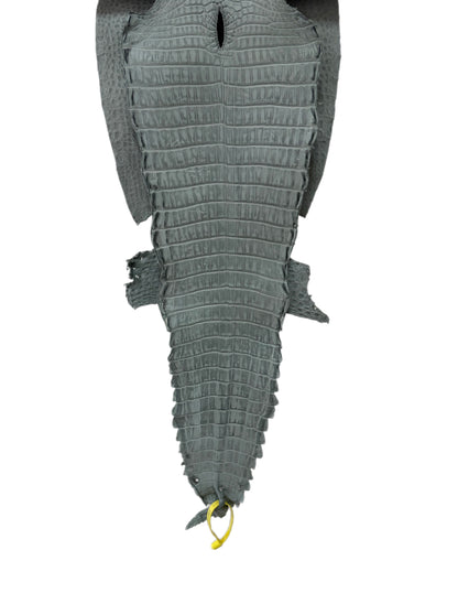 New Color and Finish! 28 cm Grade 2/3 Grey Nubuck Farm-Raised American Alligator Leather - Tag: FL22-0030318