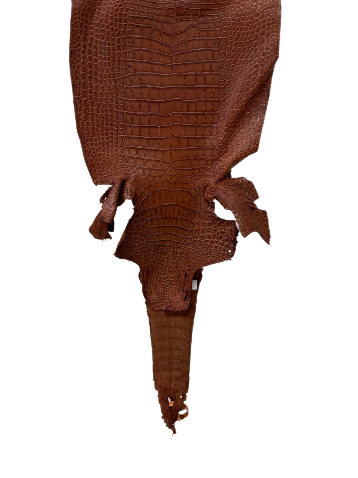 31 cm Grade 1/2 Rustic Cognac Matte Farm-Raised American Alligator Leather - Tag: FL17-0036387