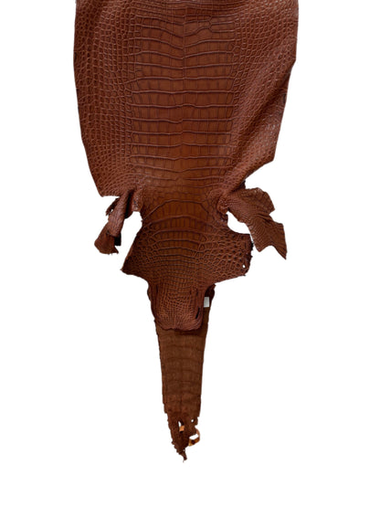 31 cm Grade 1/2 Rustic Cognac Matte Farm-Raised American Alligator Leather - Tag: FL17-0036387