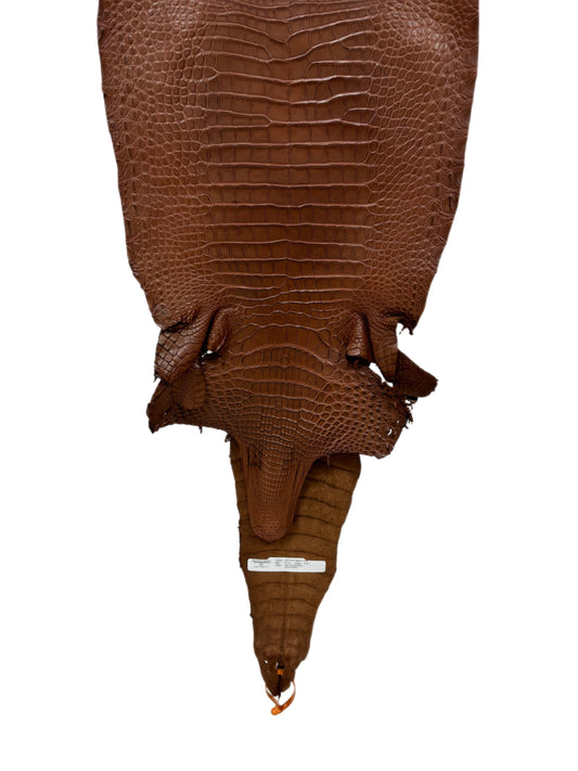 35 cm Grade 2/3 Cigar Matte Farm-Raised American Alligator Leather - Tag: FL17-0035041