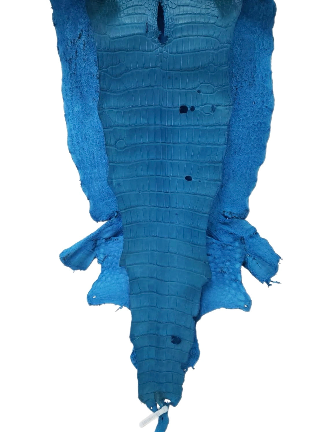 43 cm Grade 3/4 Ultramarine Matte Wild American Alligator Leather - Tag: LA23-0003022