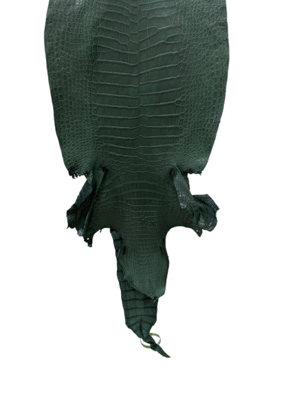 37 cm Grade 1/2 Forest Green Matte Wild American Alligator Leather - Tag: LA23-0021534