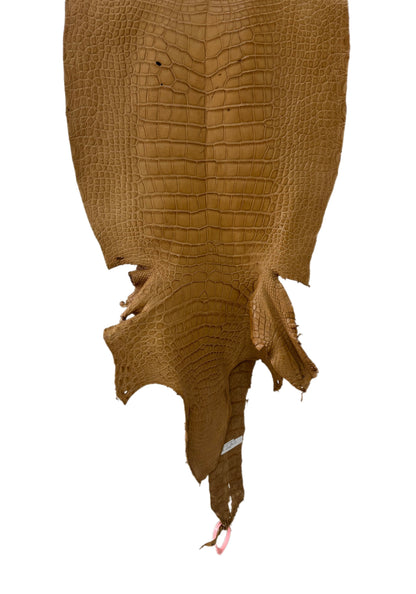 45 cm Grade 3/4 Antique Saddle Matte Wild American Alligator Leather - Tag: LA24-0022927