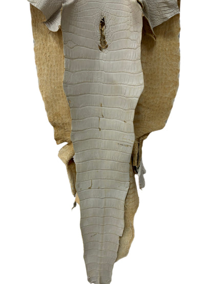47 cm Grade 3/4 Dune Matte Wild American Alligator Leather - Tag: LA25-0010665