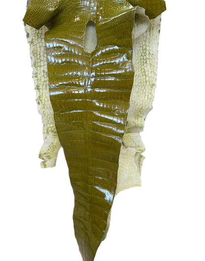 CLOSEOUT | 43 cm Grade 2/3 Muguet Glazed Wild American Alligator Leather - Tag: CCIT-0539936