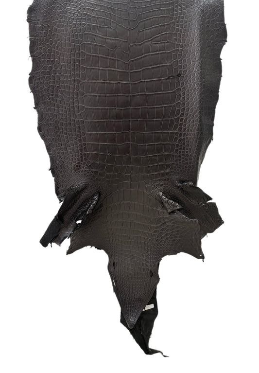 57 cm Grade 2/3 Black Matte Wild American Alligator Leather - Tag: LA23-0024512