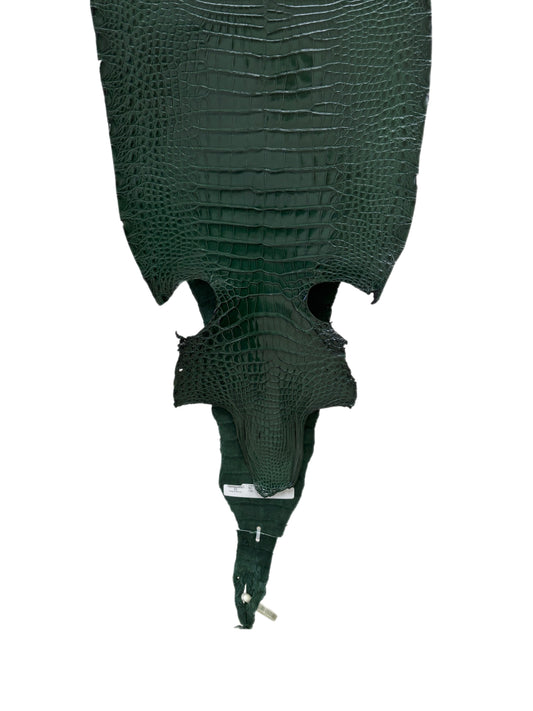 34 cm Grade 2/3 Forest Green Millennium Farm-Raised American Alligator Leather - Tag: FL17-0035821