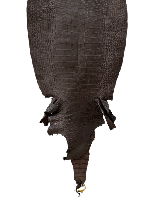 45 cm Grade 3/4 Kralle Brown Matte Wild American Alligator Leather - Tag: LA25-0008458