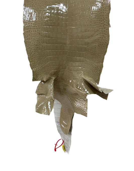 34 cm Grade 4/5 Ash Glazed Wild American Alligator Leather - Tag: ITCC-0539972