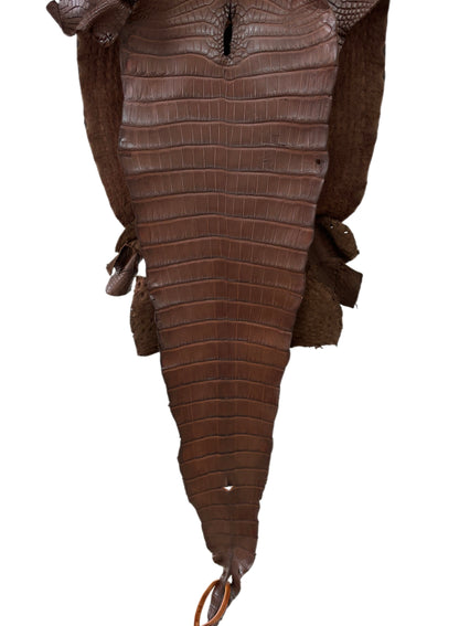 34 cm Grade 1/2 Chocolate Matte Farm-Raised American Alligator Leather - Tag: FL17-0036860