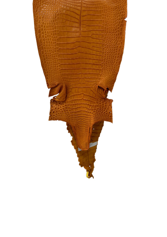 30 cm Grade 1/2 Buttercup Matte Farm-Raised American Alligator Leather - Tag: FL22-0030297