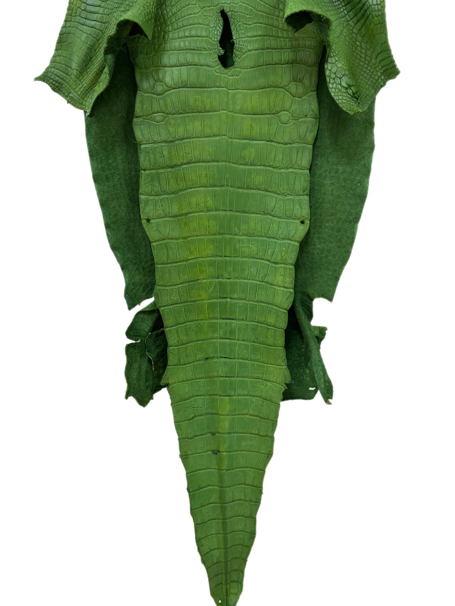 41 cm Grade 3/4 Jungle Green Matte Wild American Alligator Leather - Tag: LA23-0016877