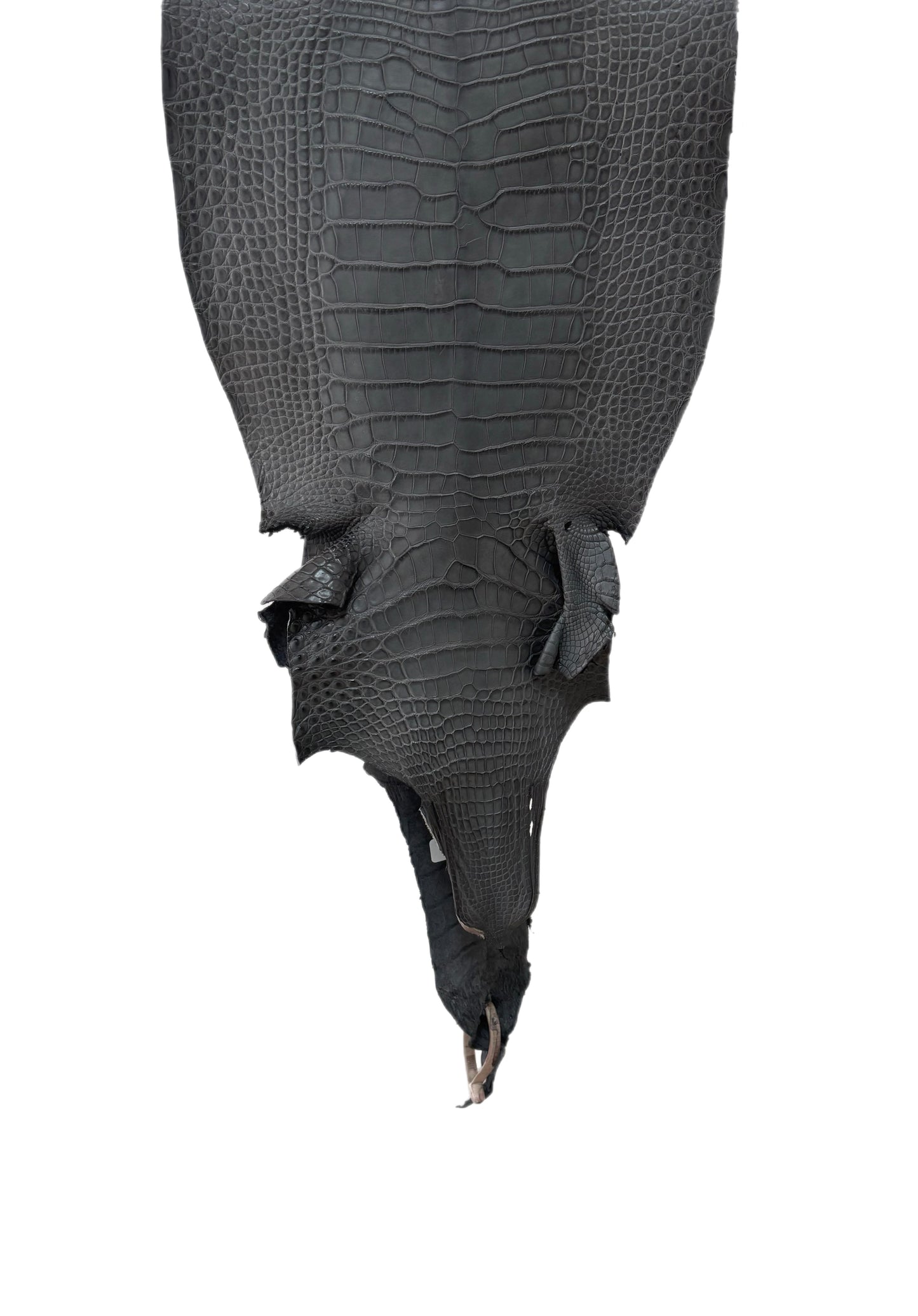 32 cm Grade 2/3 Serpentine Grey Matte Farm-Raised American Alligator Leather - Tag: LA17-0274670
