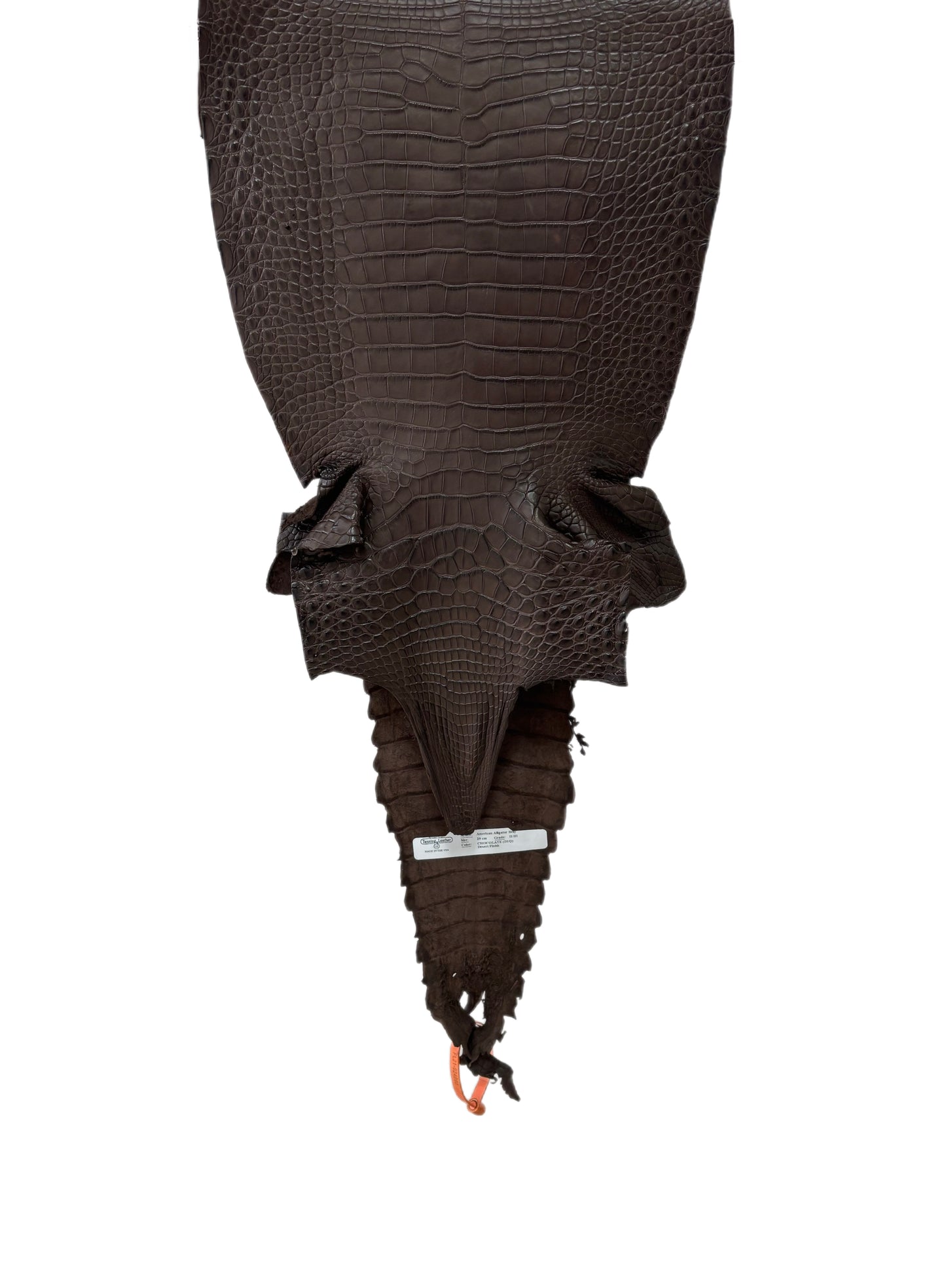 29 cm Grade 2/3 Chocolate Matte Farm-Raised American Alligator Leather - Tag: FL21-0024090