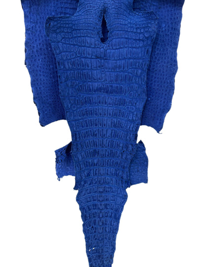 48 cm Grade 3/4 Cobalt Blue Nubuck Wild American Alligator Leather - Tag: LA22-0004564