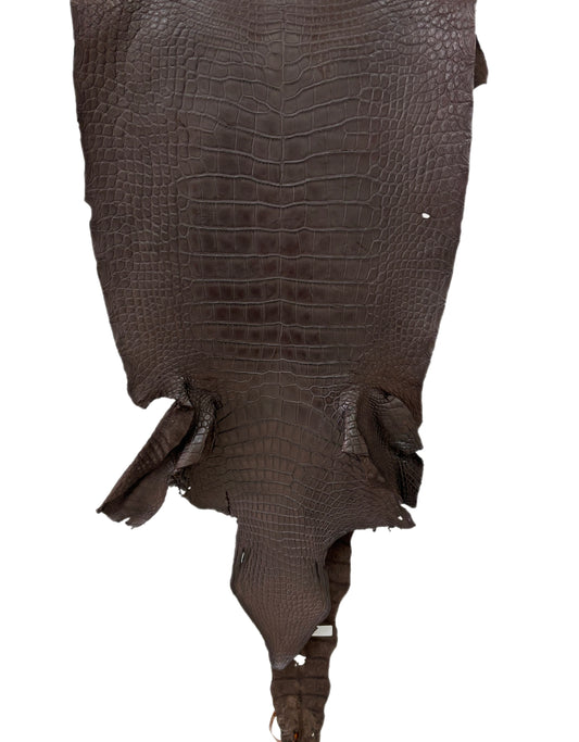 45 cm Grade 4/5 Dark Chocolate Matte Wild American Alligator Leather - Tag: LA23-0007533