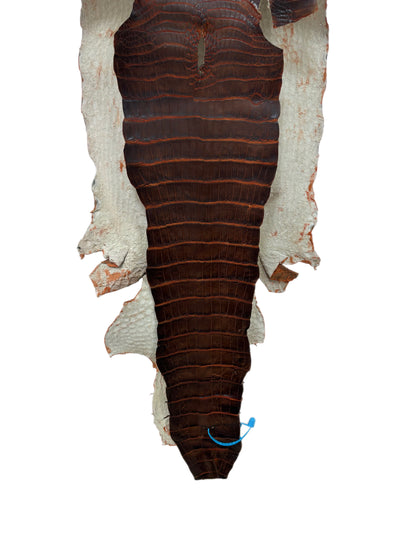34 cm Grade 1/2 Sienna Matte Wild American Alligator Leather - Tag: ESRE-0050778