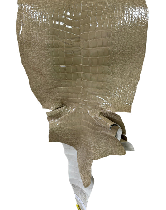 41 cm Grade 4/5 Ash Glazed Wild American Alligator Leather - Tag: ITCC-0539971