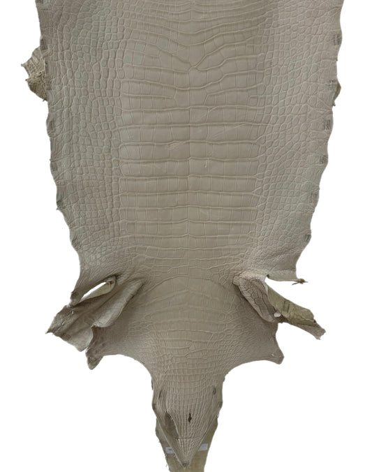 47 cm Grade 4/5 Dune Matte Wild American Alligator Leather - Tag: LA23-0038147