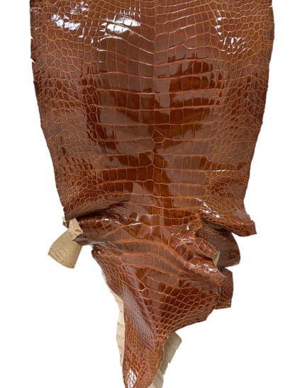 43 cm Grade 2/3 Cognac Glazed Wild American Alligator Leather - Tag: ITCC-0539962