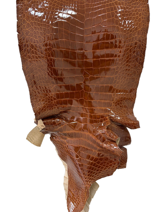 43 cm Grade 2/3 Cognac Glazed Wild American Alligator Leather - Tag: ITCC-0539962