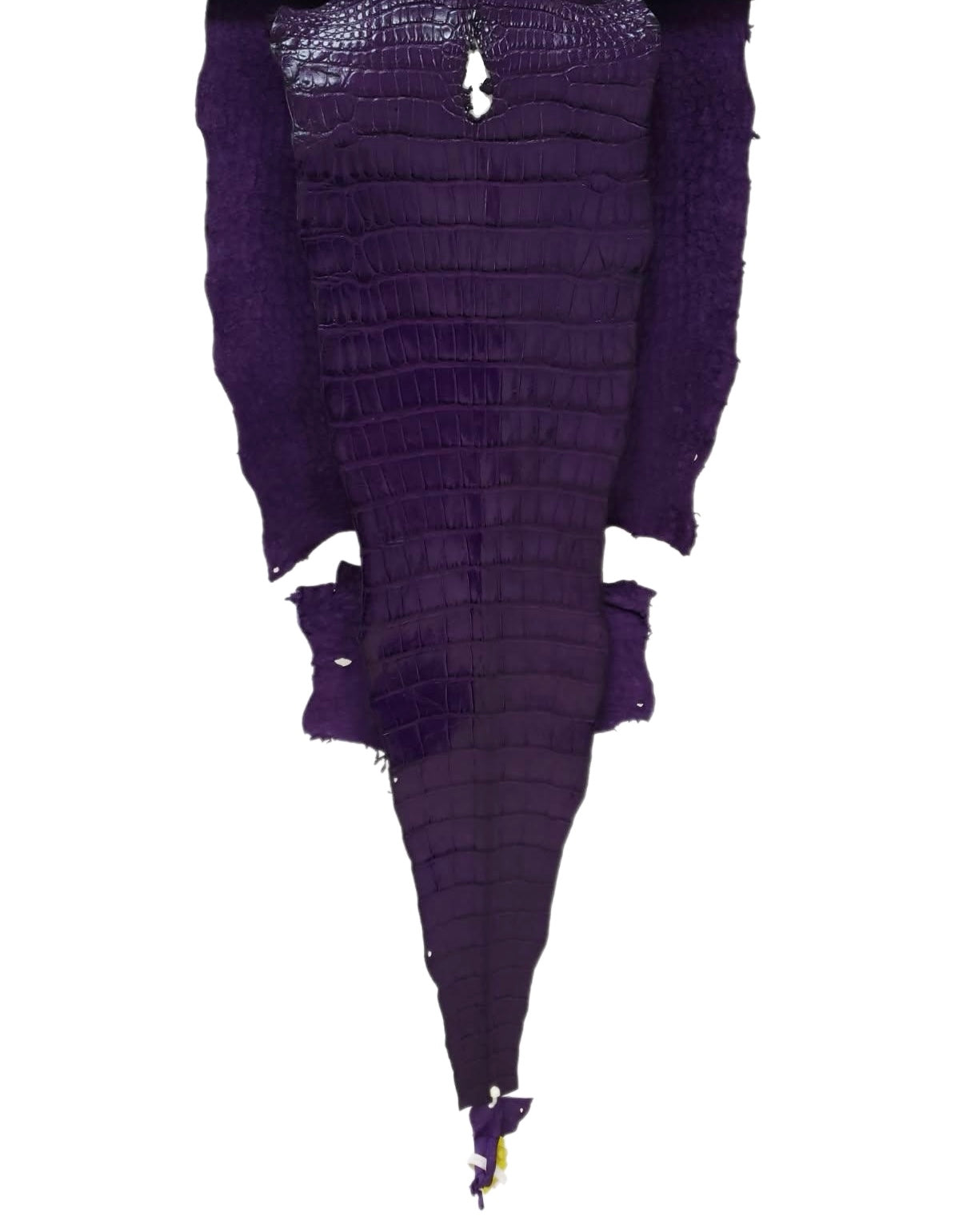 45 cm Grade 2/3 Violet Millennium Wild American Alligator Leather - Tag: LA17-0013301