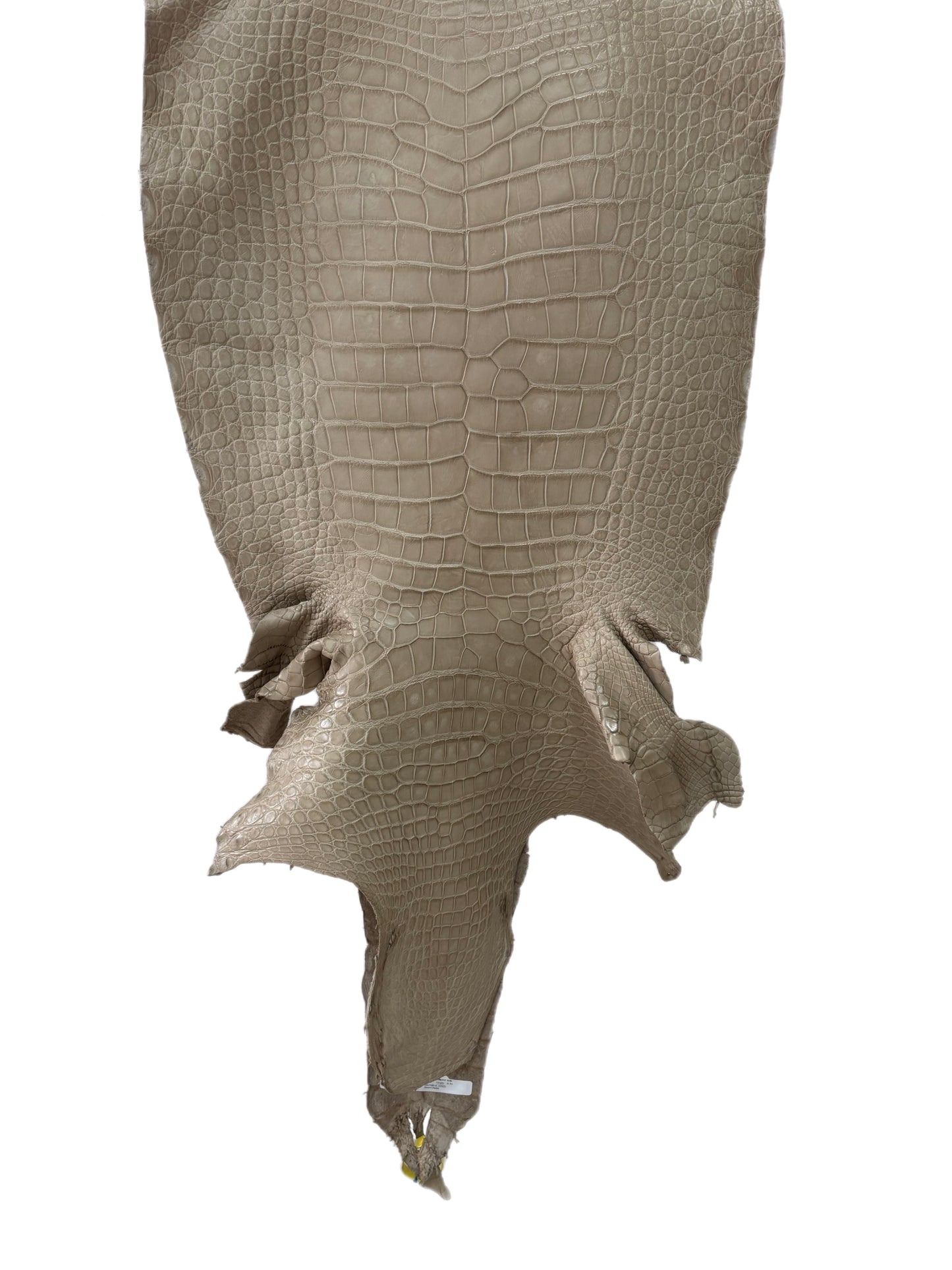 52 cm Grade 2/3 Oatmeal Matte Wild American Alligator Leather - Tag: LA25-0020103