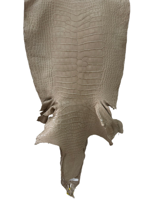 52 cm Grade 2/3 Oatmeal Matte Wild American Alligator Leather - Tag: LA25-0020103