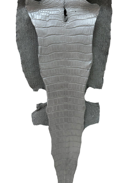 34 cm Grade 2/3 Silver Metallic Wild American Alligator Leather - Tag: LA23-0022102