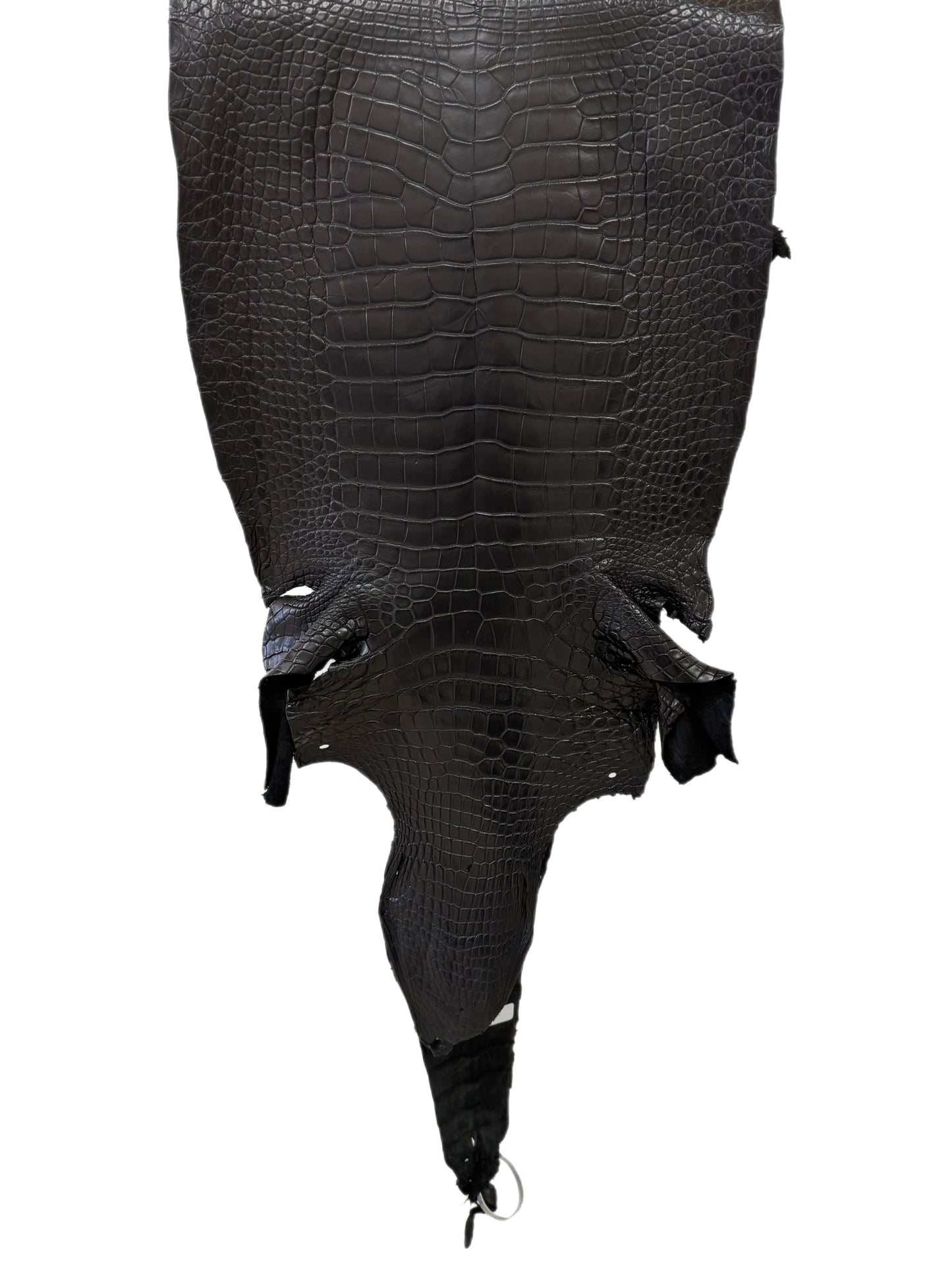 43 cm Grade 3/4 Black Matte Wild American Alligator Leather - Tag: LA23-0013906