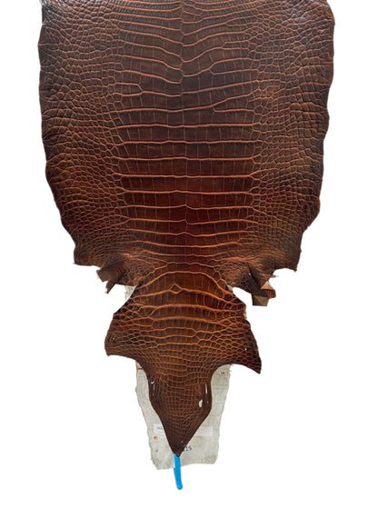 36 cm Grade 1/2 Sienna Matte Wild American Alligator Leather - Tag: ESRE-0050790