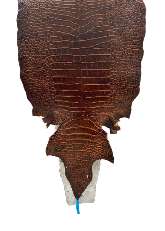 36 cm Grade 1/2 Sienna Matte Wild American Alligator Leather - Tag: ESRE-0050790