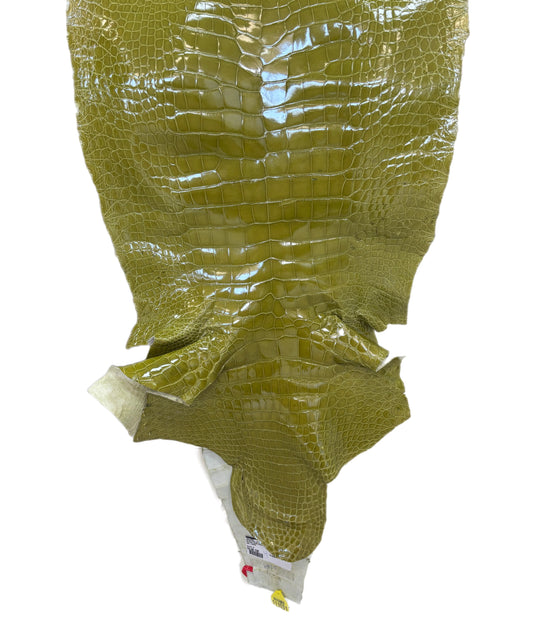 CLOSEOUT | 53 cm Grade 3/4 Muguet Glazed Wild American Alligator Leather - Tag: CCIT-0539933