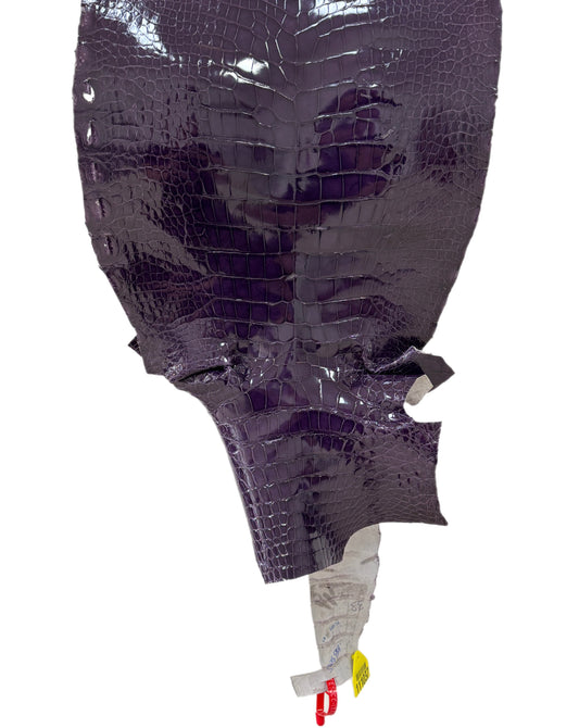 33 cm Grade 4/5 Viola Glazed Wild American Alligator Leather - Tag: ITCC-0539978