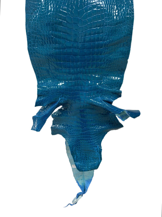 35 cm Grade 2/3 Tahiti Glazed Wild American Alligator Leather - Tag: LA23-0013386